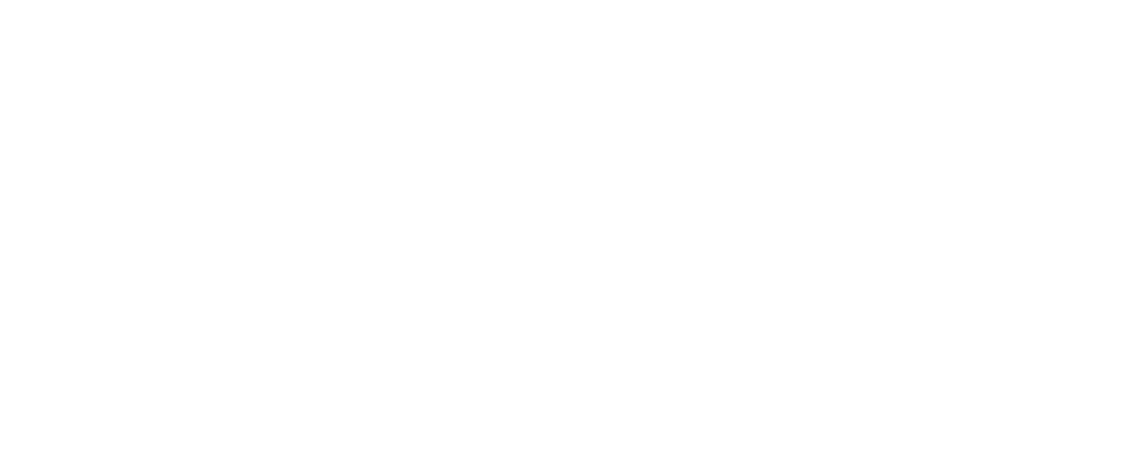 Aspiring Leaders India Foundation
